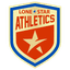 LSA
