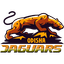 Odisha Jaguars