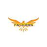 Falcons Women