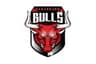 Nahargarh Bulls