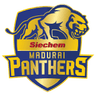 Siechem Madurai Panthers