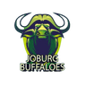 Joburg Bangla Tigers