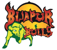 Bijapur Bulls