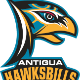 Hawksbills