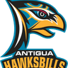 Hawksbills