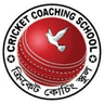 Cricket Coaching School