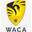 WA Chair XI