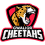 GC