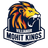 Villianur Mohit Kings