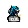 Kochi Blue Tigers