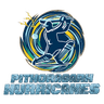 Pithoragarh Hurricanes