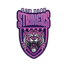 New York Strikers