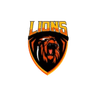 Nurpur Lions