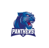 Lake City Panthers