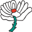YCC