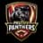 Pruthvi Panthers