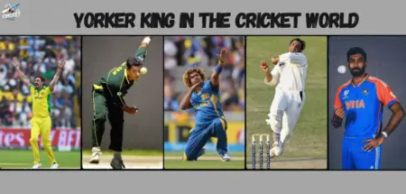 Yorker King in the Cricket World