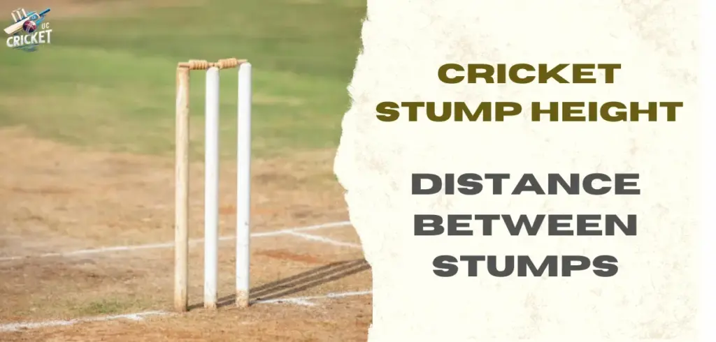 Cricket Stump Height and Distance Between Stumps