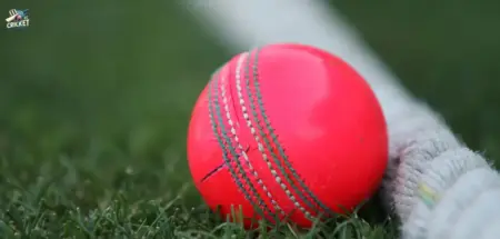 Pink Ball in Test Cricket