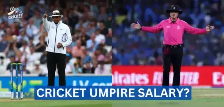 Cricket Umpire Salary