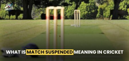 Match suspended meaning in cricket