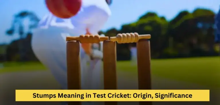 Stumps Meaning in Test Cricket