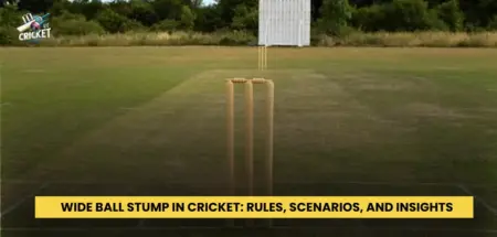 Wide Ball Stump in Cricket