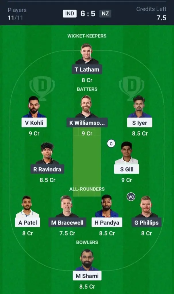 IND vs NZ Small League Team