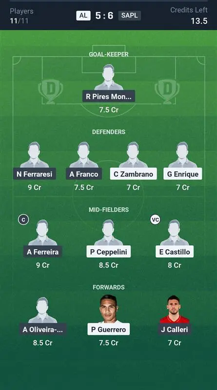 AL vs SAPL Grand League Team