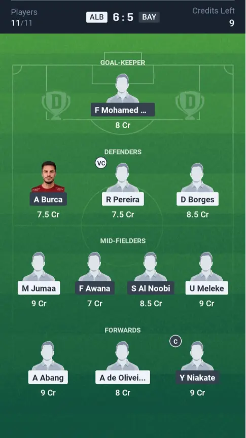 ALB vs BAY Small League Team