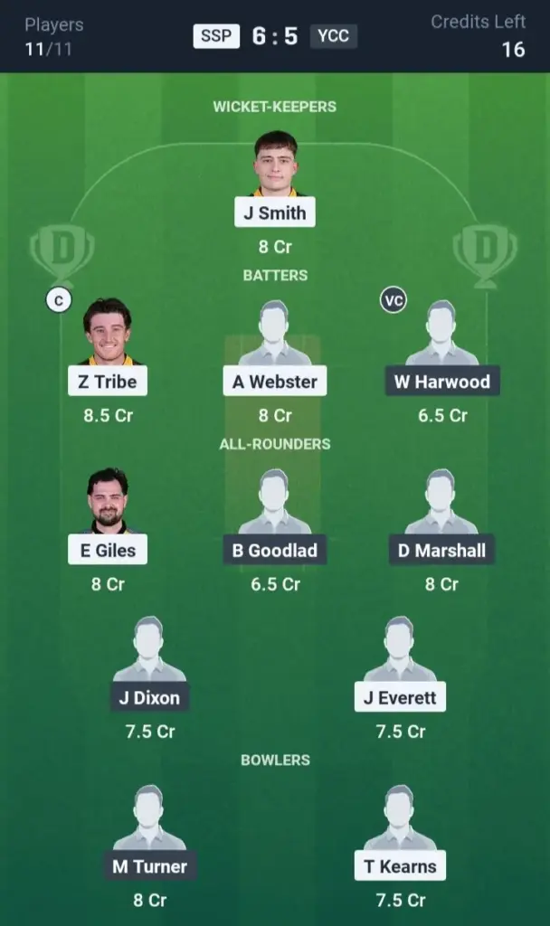 SSP vs YCC Small League Team 