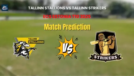 Tallinn Stallions vs Tallinn Strikers Match Prediction