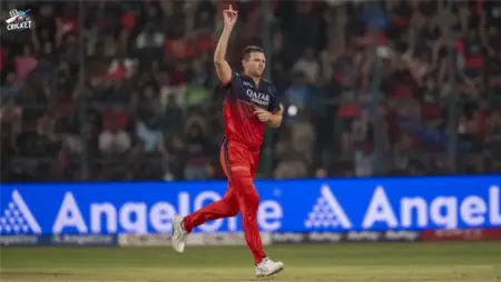 Josh Hazlewood performance in the finals