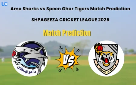 Who will Win Amo Sharks vs Speen Ghar Tigers? Match Prediction – SHPAGEEZA CRICKET LEAGUE 2025 Amo Sharks vs Speen Ghar Tigers Match Prediction