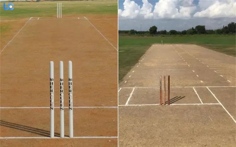 Difference Between Red Soil And Black Soil Pitches Red Soil And Black Soil Pitches