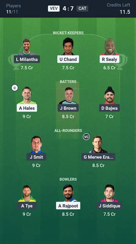 VEV vs CAT Small League Team