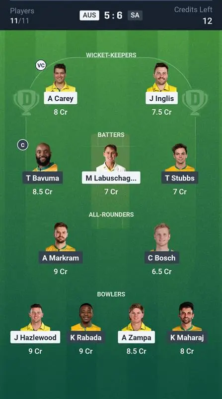 AUS vs SA Small League Team