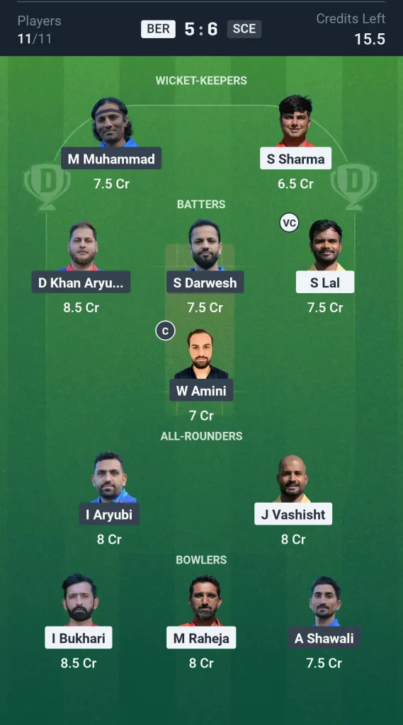 BER vs SCE Small League Team