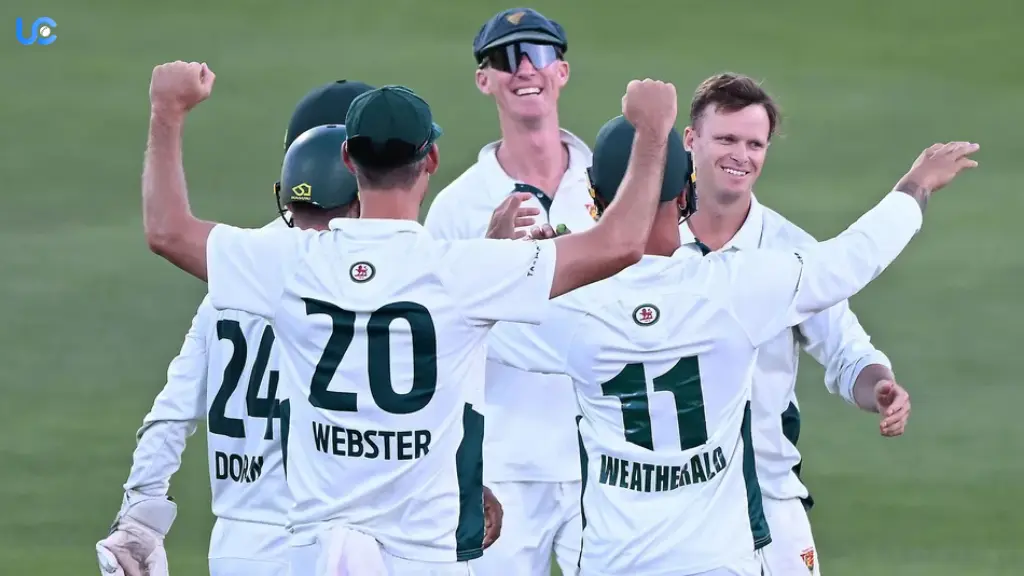 New South Wales vs Tasmania Head-to-Head Record