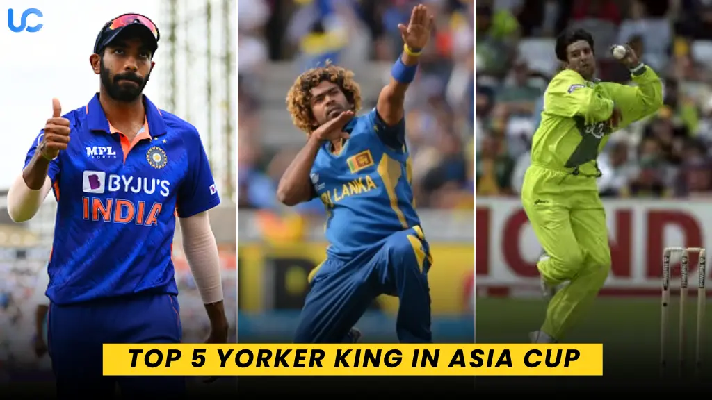 Top 5 Yorker King in Asia Cup
