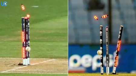 Cost of LED Stumps