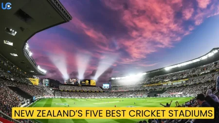 New Zealand’s Five Best Cricket Stadiums New Zealand’s Five Best Cricket Stadiums