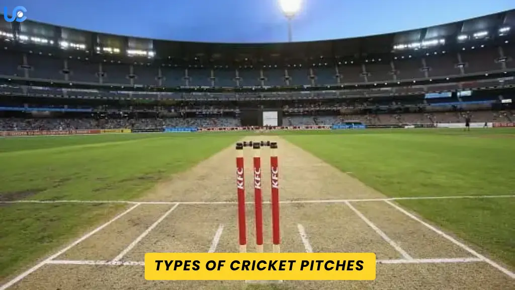 Types of Cricket Pitches Explained