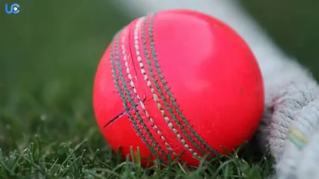 What Is a Pink Ball Test? History, Rules & Significance Explained What Is a Pink Ball Test