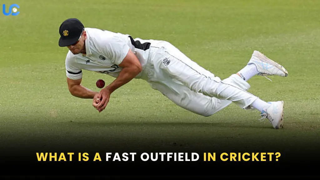 What is a Fast Outfield in Cricket? What is a Fast Outfield in Cricket?