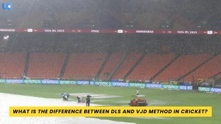 What is the difference between DLS and VJD method in Cricket? What is the difference between DLS and VJD method in Cricket