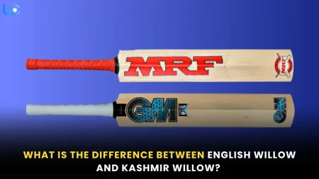 What is the Difference Between English Willow and Kashmir Willow? What is the difference between English Willow and Kashmir Willow?