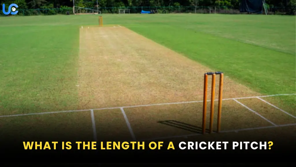 What is the Length of a Cricket Pitch?