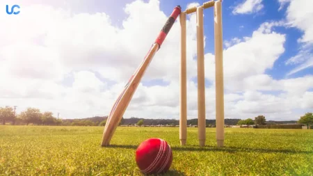 How to Apply and Remove Toe Guard on a Cricket Bat: Step-by-Step Guide Apply and Remove Toe Guard on a Cricket Bat