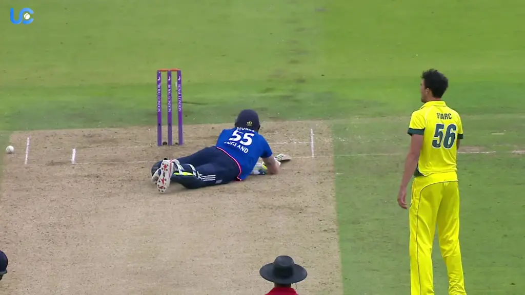 Obstructing the Field in Cricket